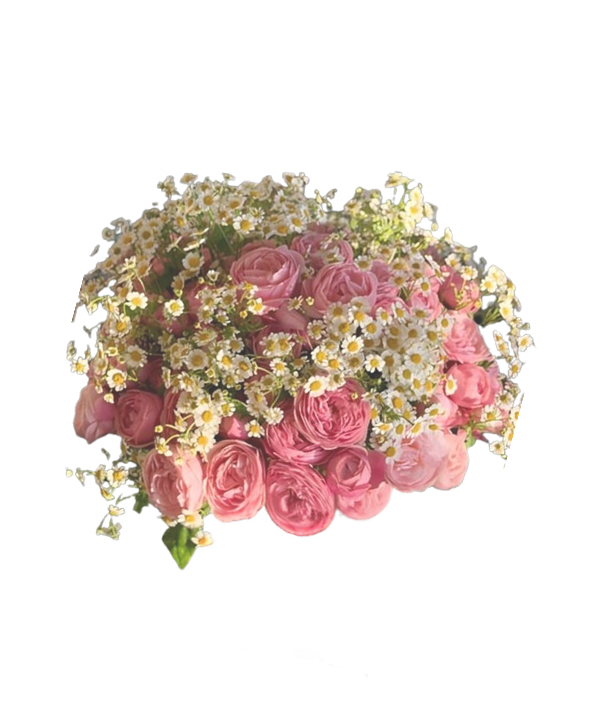 A soft pink bouquet of garden roses and chamomile